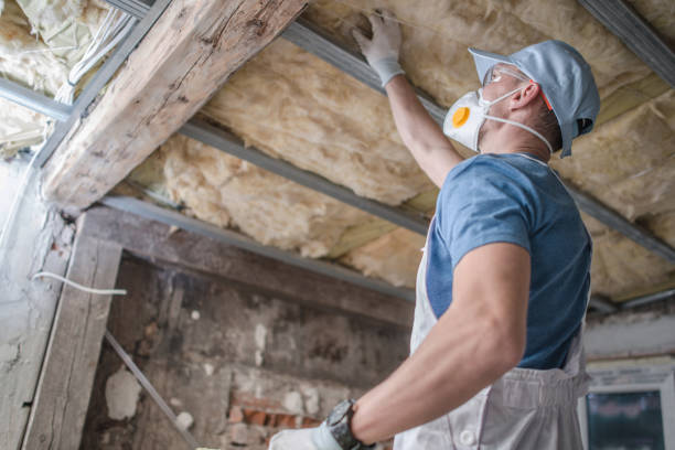 Best Insulation Installation Services in Coram, NY